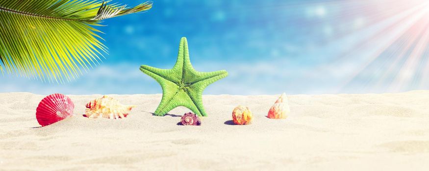 Sandy beach with beautiful starfish near sea on sunny summer day.