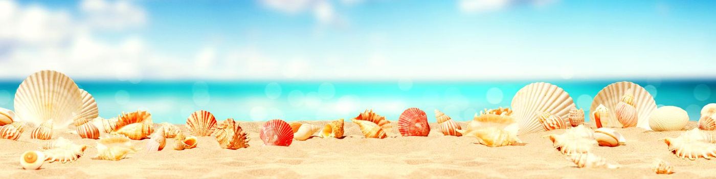 Seashells on seashore - beach holiday background.