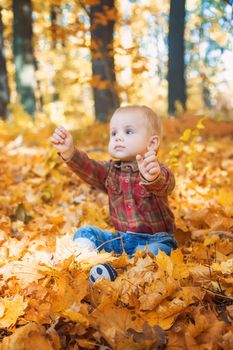 Little kid boy in the park on autumn leaves. Selective focus.