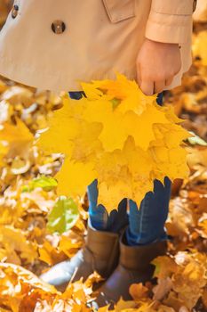 Children in the park with autumn leaves. Selective focus. nature.