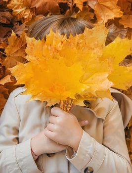 Children in the park with autumn leaves. Selective focus. nature.