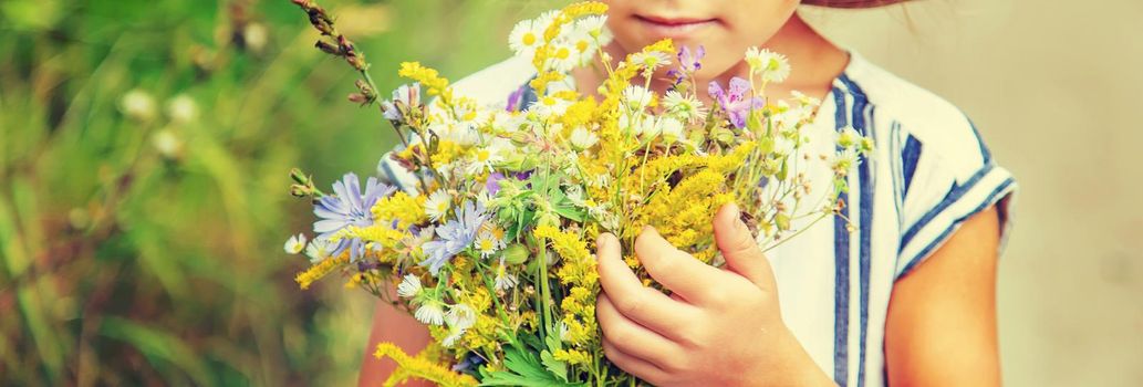 girl holding wildflowers in the hands of a child. Selective focus.