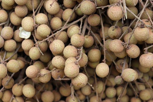 Tasty and Healthy Longan Stock on shop for sell
