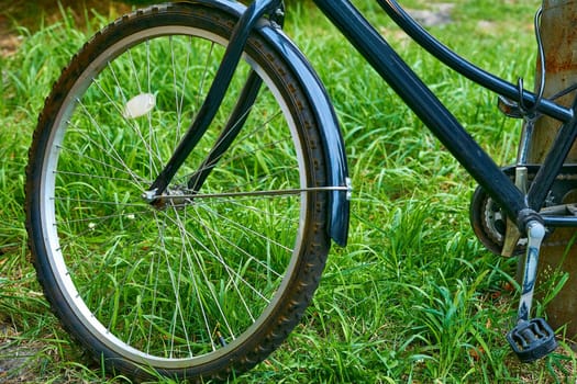 A two wheeled, less commonly three-wheeled vehicle for driving, driven by the rider's legs.