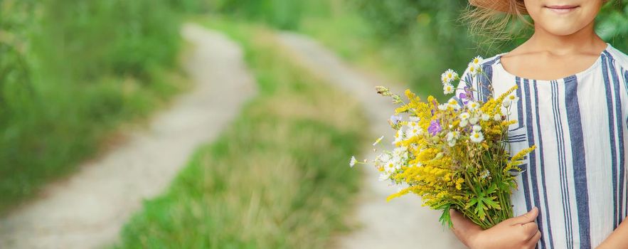 girl holding wildflowers in the hands of a child. Selective focus. nature.