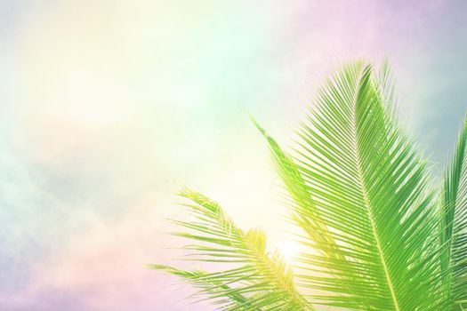 Selective focus on palm tree leaves over peaceful tropical beach background, blue sea landscape, natural abstract card