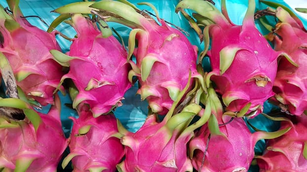 Many dragonfruits are placed in trays for sale to customers. in a shop in Thailand