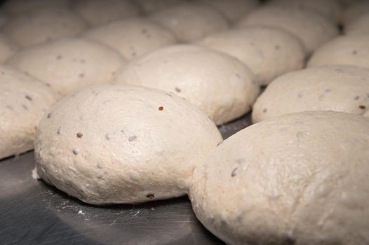 Close-up Raw burger buns dough on a metal baking sheet. Preparing ingredients for burgers.