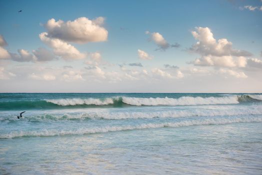 The coastline of white sand and rocks. Caribean sea.