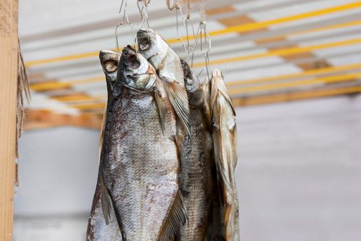 traditional Dried fish closeup on a rope