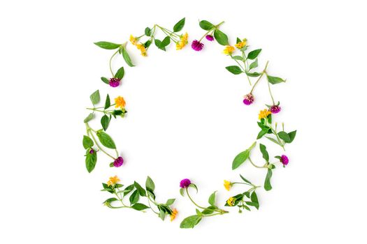 Frame Colorful bright pattern of meadow herbs and flowers on white background. Flat lay, top view, natural