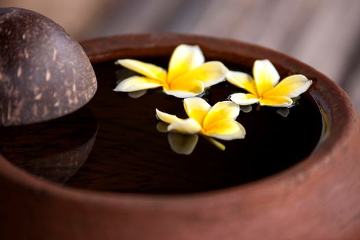 Touching nature. Clay jug relaxing and peaceful with flower plumeria or frangipani decorated on water in bowl in zen style for spa meditation mood