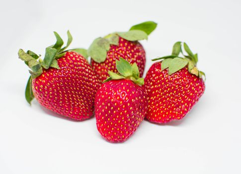 GROUP OF STRAWBERRY.