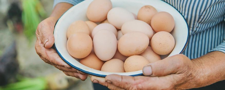 homemade eggs in grandmother's hands. Selective focus. nature.