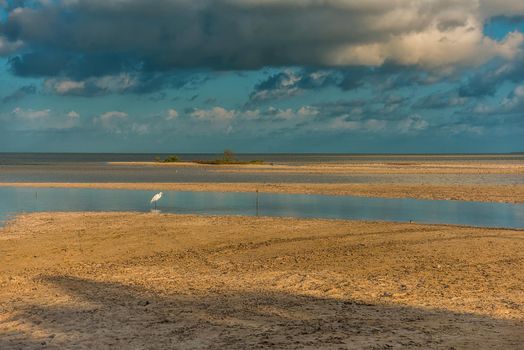 The sky with clouds reflected in the waters of the estuary. Sunny weather.