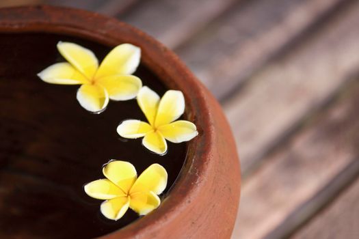 Touching nature. Clay jug relaxing and peaceful with flower plumeria or frangipani decorated on water in bowl in zen style for spa meditation mood