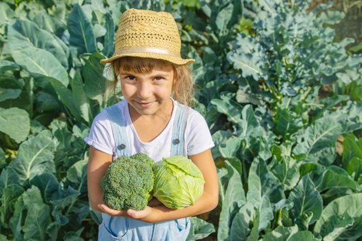 Child with cabbage and broccoli in the hands. Selective focus.