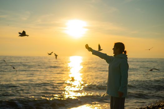 Caucasian woman feeding seagulls on the sea at sunset