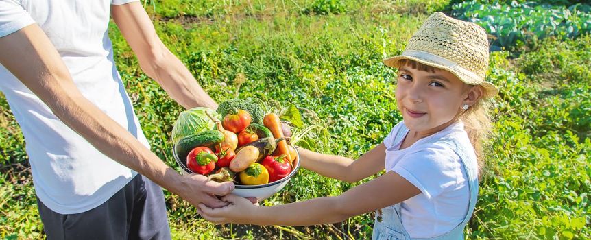 Child and father in the garden with vegetables in their hands. Selective focus. nature.