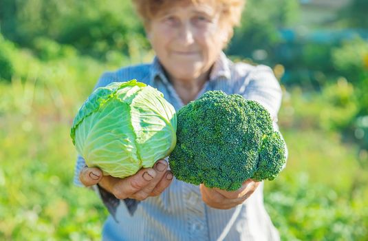 grandmother with cabbage and broccoli in her hands. Selective focus.