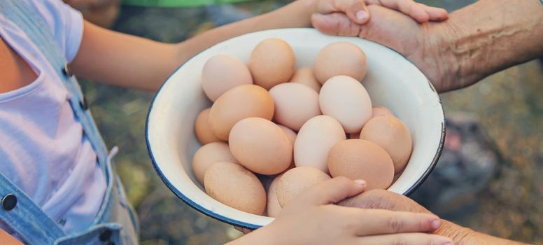 homemade eggs in grandmother's hands. Selective focus. nature.