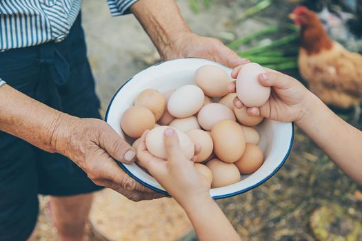 homemade eggs in grandmother's hands. Selective focus. nature.