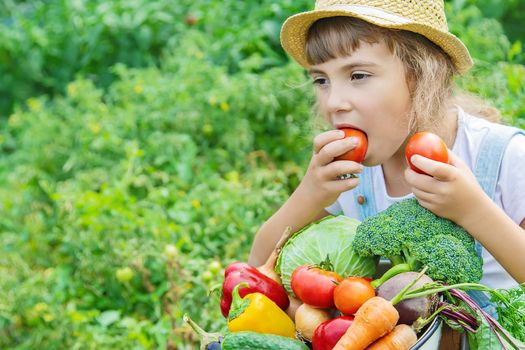 Child in the garden with vegetables in his hands. Selective focus.