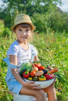 Child in the garden with vegetables in his hands. Selective focus.