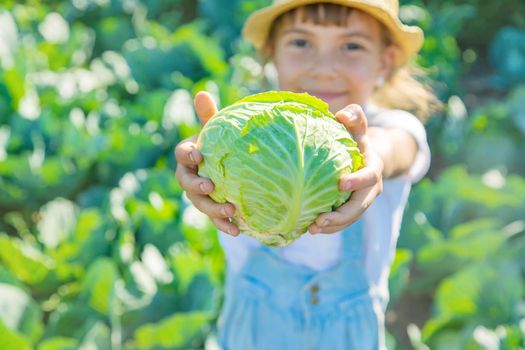 Child with cabbage and broccoli in the hands. Selective focus.
