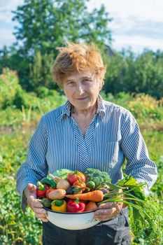 grandmother in the garden with vegetables in their hands. Selective focus.