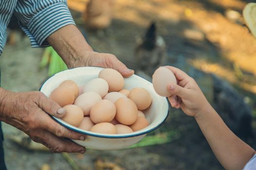 homemade eggs in grandmother's hands. Selective focus. nature.