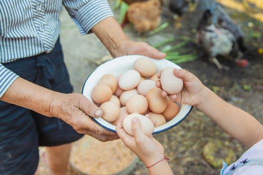 homemade eggs in grandmother's hands. Selective focus. nature.