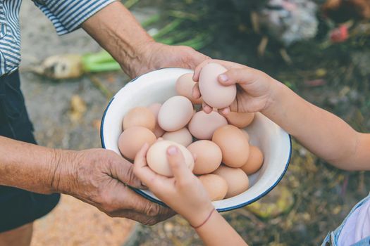 homemade eggs in grandmother's hands. Selective focus. nature.