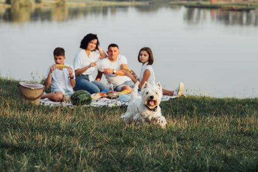 Blurred Four Members Family Having Picnic at Sunset by the Lake, Their Pet West Highland White Terrier Dog in Focus Running Into Camera