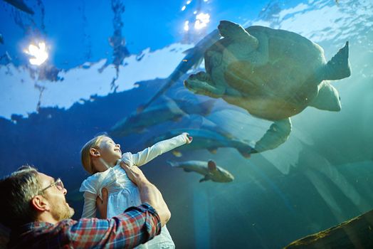 Cropped shot of a father and his little daughter looking at an exhibit in an aquarium.