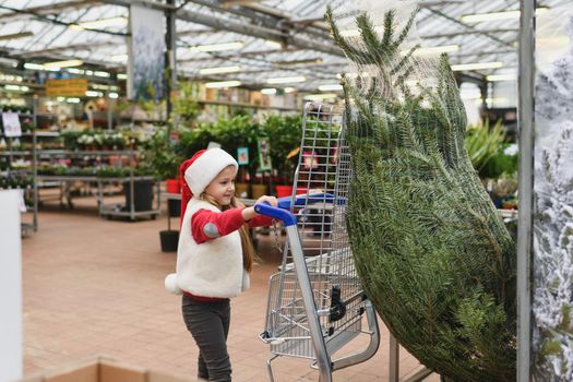 Small girl chooses a Christmas tree in the shop.