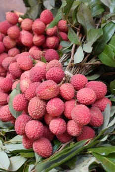 ripe Lychee with leaf on table ,