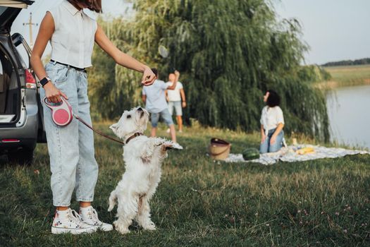 Teenage Girl Playing with West Highland White Terrier Dog on the Background of Her Family Having Picnic Outdoors by the Lake