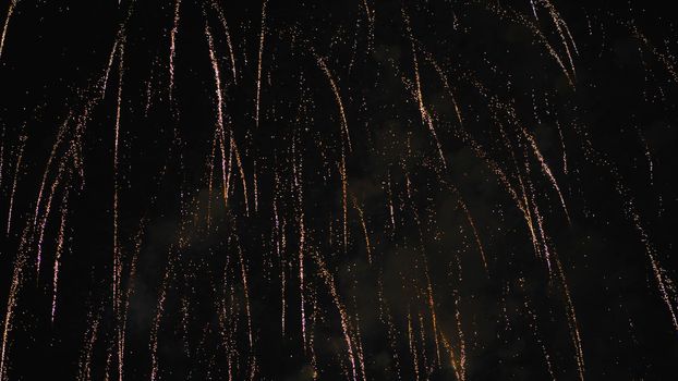 Elements of an explosion of fireworks in the night sky