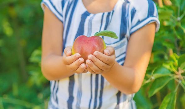 child with an apple in the garden. Selective focus. nature.