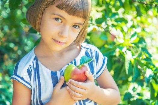 child with an apple in the garden. Selective focus.