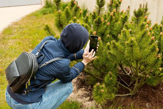 Young woman in hood and backpack photographs plant in park with smartphone. Girl is squatting and taking pictures. Selective focus.