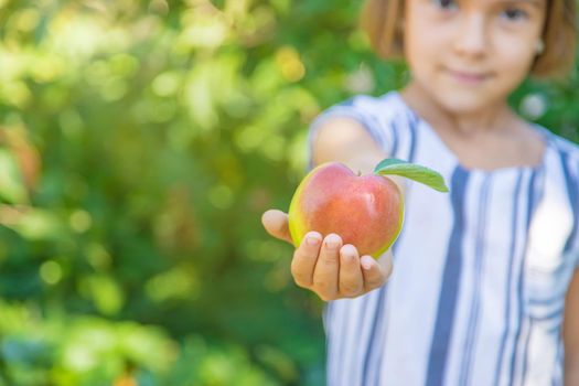 child with an apple in the garden. Selective focus.