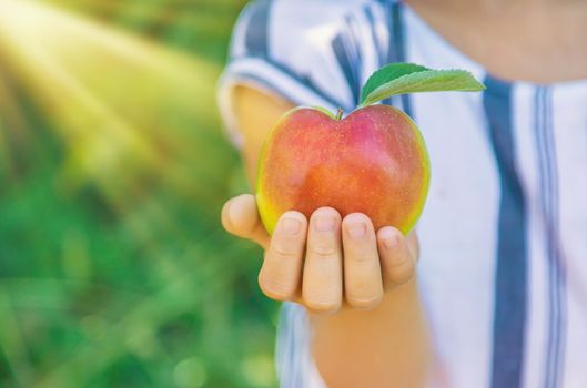 child with an apple in the garden. Selective focus. nature.