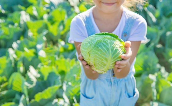 Child with cabbage and broccoli in the hands. Selective focus. nature.