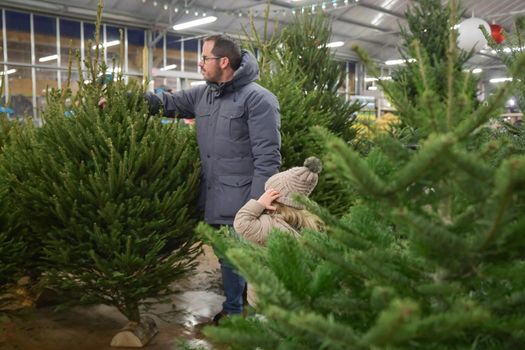 Father and daughter choose a Christmas tree at the market.