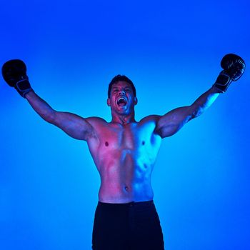 Blue filtered shot of a sportsman wearing boxing gloves while posing in the studio.