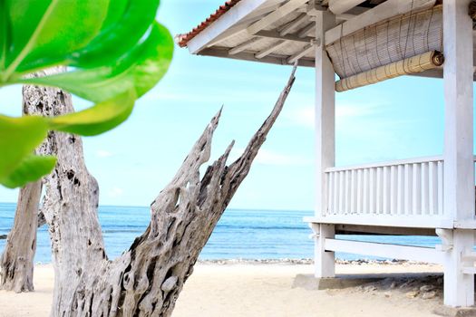 White wooden shelter and dead tree from the sun on the beach in Bali or Thailand