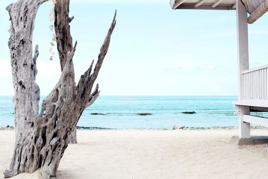 White wooden shelter and dead tree from the sun on the beach in Bali. Stock image.