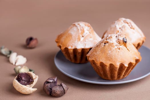 Muffin cakes on a grey plate. Beige - coffee background.